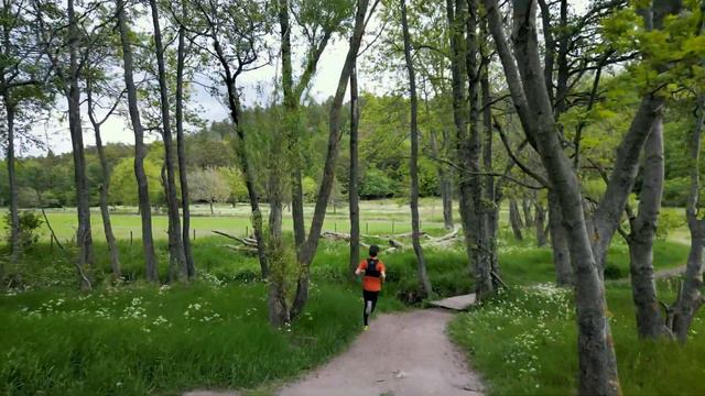 Can This Drone Follow Me When I'm Running?! DJI Mini 3 Pro смотреть онлайн