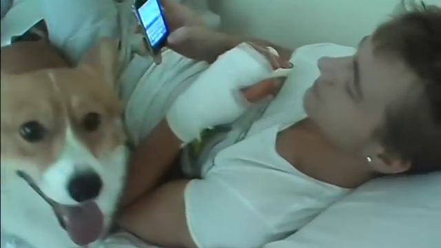 Пес Элвис с Лешей в больничной постели смотреть онлайн