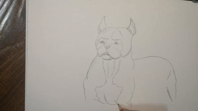 КАК НАРИСОВАТЬ СОБАКУ БУЛЬДОГА!\HOW TO DRAW A DOG BULLDOG EASY\ смотреть онлайн