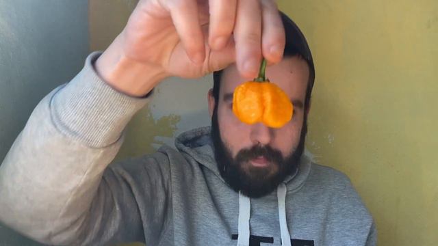 Unboxing на най - Лютите чушки в света Каролина Рийпър и Скорпион ! Разтреперях се смотреть онлайн