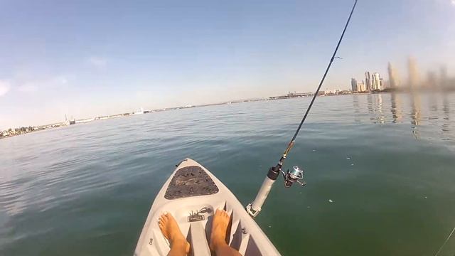 San Diego Fishing: The Bait Master waiting on a kayak for a hit. смотреть онлайн