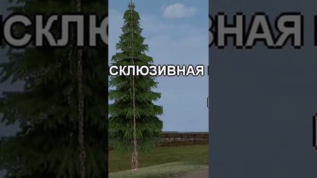 ?Promo: SANTA? ОБМАНУЛ БОМЖ на МАТРЁШКА РП смотреть онлайн