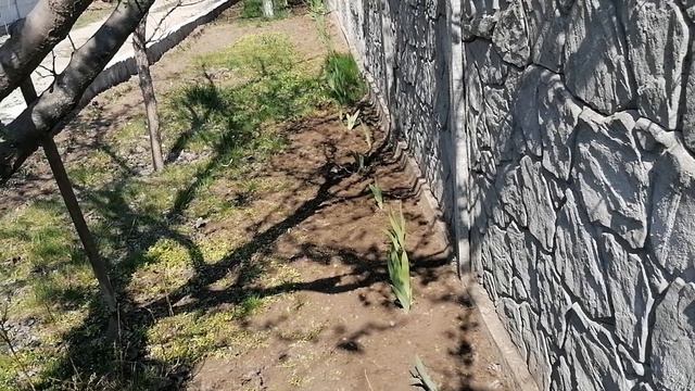 Что я делаю сидя дома, моя весенняя красота. смотреть онлайн