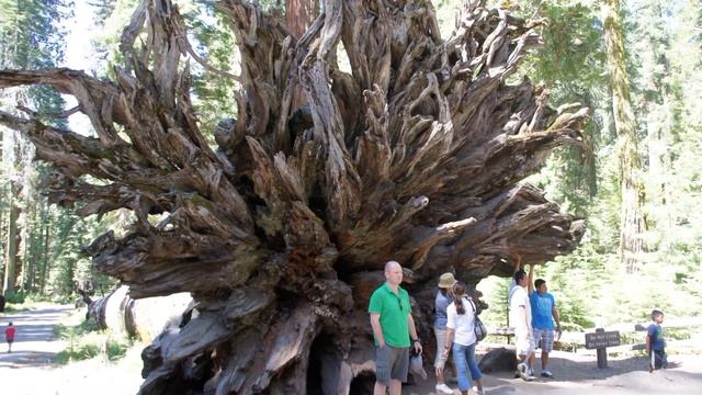Йосемити фото часть 1 смотреть онлайн