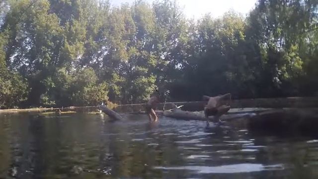 Делаем трюки на нашей речке смотреть онлайн