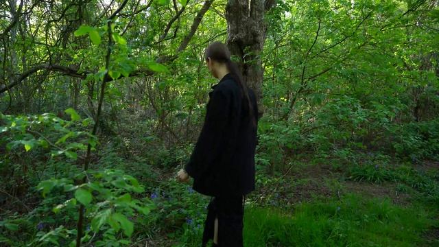 самые редкие Деревья | Дерево Смотритель | Магия Деревьев смотреть онлайн