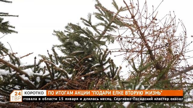 По итогам акции «Подари елке вторую жизнь» смотреть онлайн