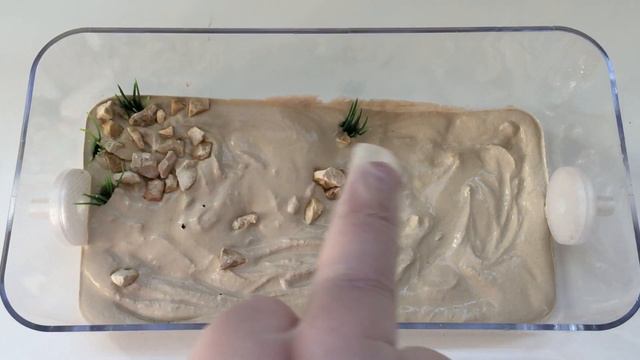 Simple Outworld For Your Ants Part 1 (Ant-Keeping Tutorial/Guide) смотреть онлайн