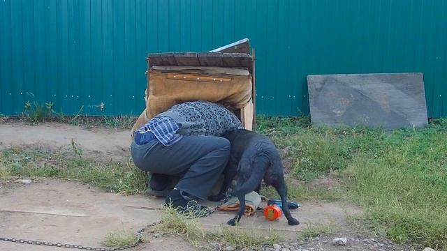Живу в собачьей будке в 40 лет УТЕПЛЯЮ НА ЗИМУ ЧТОБЫ НЕ ЗАМЕРЗНУТЬ просто родители выгнали из дома смотреть онлайн