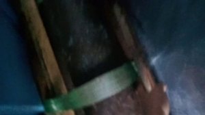 купить малька осетра