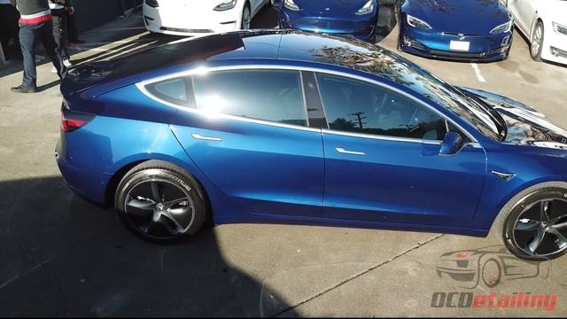 Tesla Model 3 - Full Paint Protection Wrap with Opti-Coat Pro Plus - Fly Around смотреть онлайн