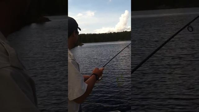 Canada North Lodge Northern Pike смотреть онлайн