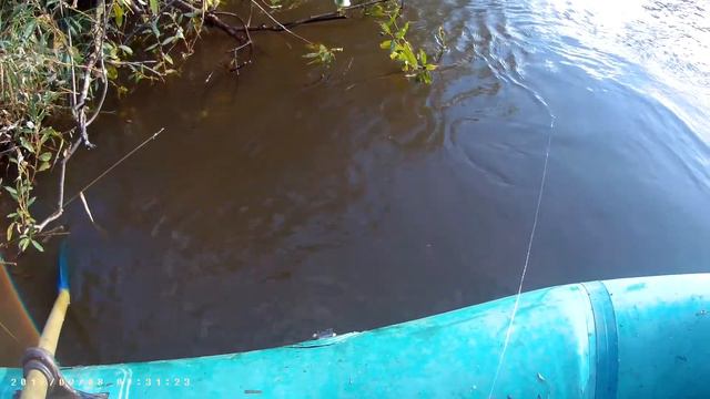 Налим на закидушку смотреть онлайн