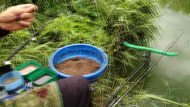 Проверь себя, правильно ли ты ловишь рыбу? ))) смотреть онлайн