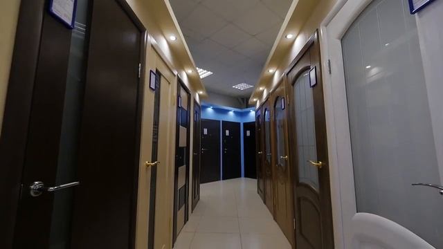 Шпонированные двери смотреть онлайн