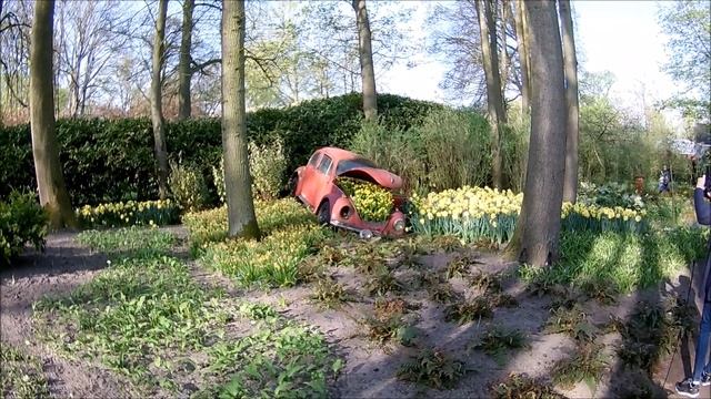 Keukenhof-Garden Of Europe. Zahrada Evropy. Сад Европы. Amsterdam