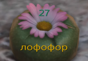 GTA V, все 27 лофофор (720p).mp4