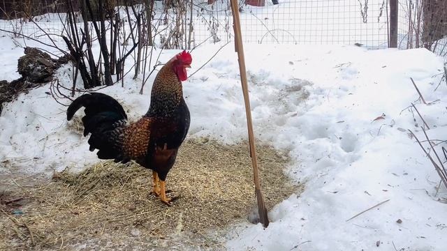 Сын выгнал отца из дома… смотреть онлайн