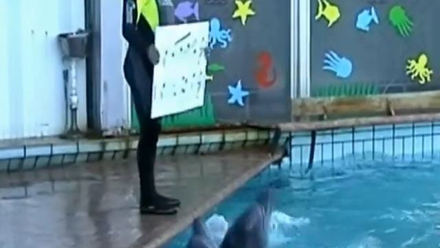 mVp ''Ялтинский дельфинарий'' в 2002г. ч.1 013 смотреть онлайн