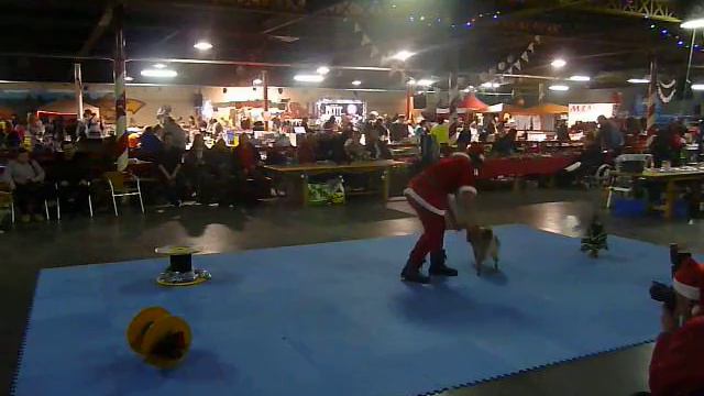 20131208 Kerstmarkt Aalst Doggy dance Demo 17u30u- Yuuka смотреть онлайн