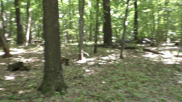 космический летний коп, полные карманы смотреть онлайн