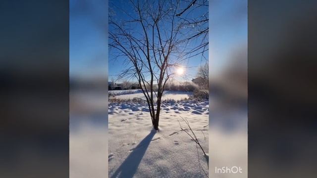 Рождествеская морозная зима 07.01.2023г. смотреть онлайн