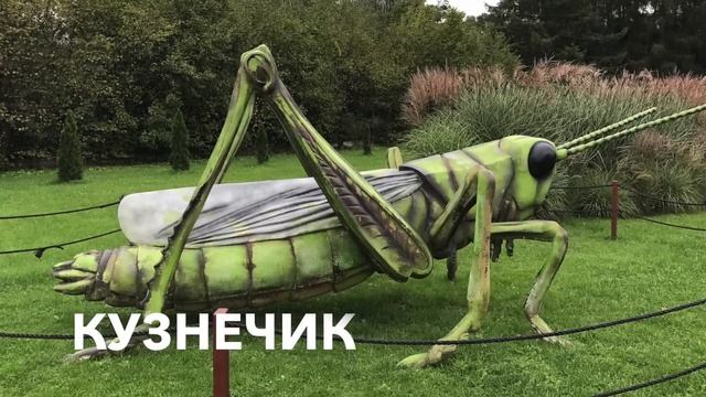 Обучающий мультик для детей. Насекомые