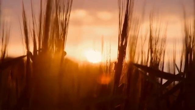 Мы тонем под музыку — вот это первый класс! смотреть онлайн