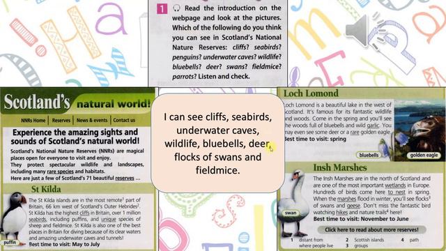 Spotlight 7. Модуль 8d