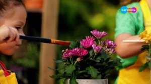 Зелёный проект. Кто летает и жужжит (от 19.11.2023)