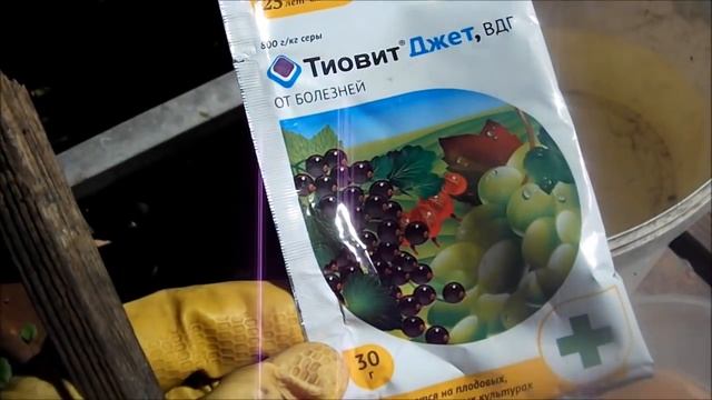 Обработка винограда от клеща смотреть онлайн