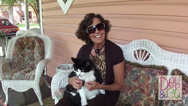 Deb & Felix Announce their new Web TV Channel смотреть онлайн