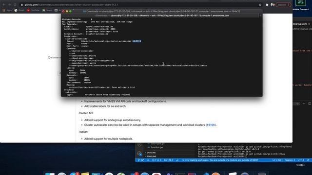 Cluster Autoscaler in AWS EKS смотреть онлайн
