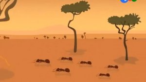 (видео взято из канала анонсы карусель он разрешил) все анонсы карусель весна 2013