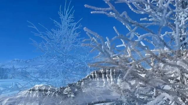 The Global Runner’s Guide to Sunshine Meadows, Banff, Alberta, Canada (Skimo winter) смотреть онлайн