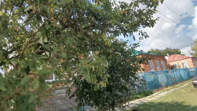 Нашли на дороге Сливу Колерованную. Переезд на юг. Виктор Саликов. смотреть онлайн