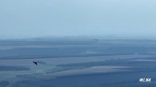Реалии боевых действий от ребят Ямпольского полка армии России. смотреть онлайн