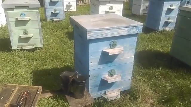 Продолжаю работать с пчелами весной в апреле смотреть онлайн