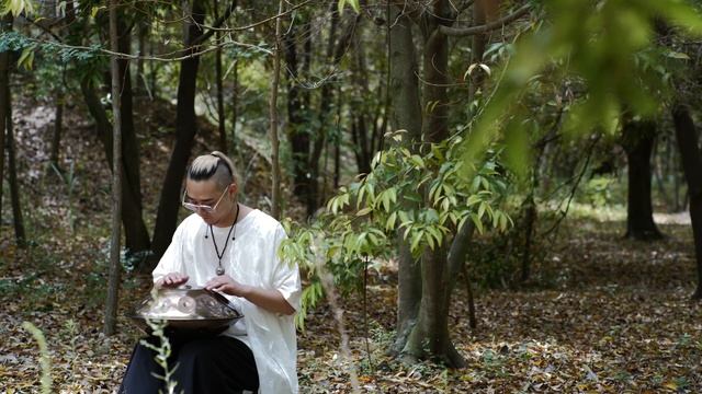 Raysen Mini Handpan Travel Hang Drum 16 Notes #F Gong Mini