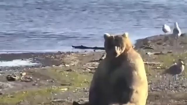 Лето, Солнце, Жара, танцуй до утра смотреть онлайн