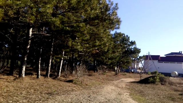 ТЕЛЕПАТИЯ ВСЕ ПРОСТО! КАК ЭТО ПРОИСХОДИТ!