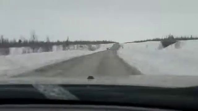 Трасса Новый Уренгой - Надым смотреть онлайн