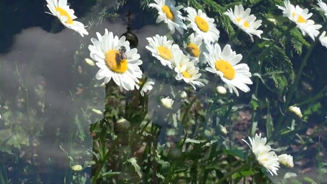 Храм Архангела Михаила в городе Омске. Божественное песнопение клироса смотреть онлайн