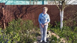 ОСНОВНЫЕ РАБОТЫ В САДУ И ОГОРОДЕ В МАЕ!