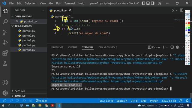 Estructura IF ELSE ejemplo determinar si es mayor de edad en Python смотреть онлайн