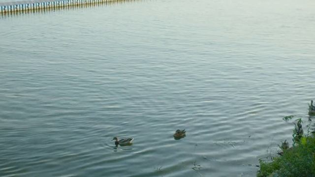 Остановка Воронеж! (Одессит из Шеньчженя)