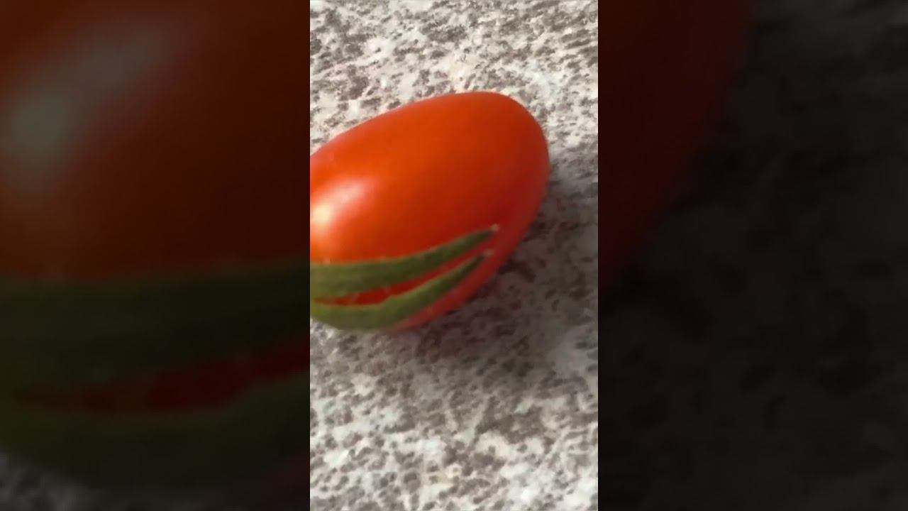 Первый урожай. Ожидание и реальность смотреть онлайн