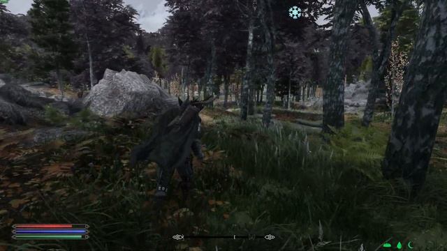 This is how Skyrim SE Requiem plays with followers and combat mods in 2022 смотреть онлайн
