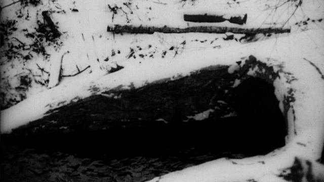 Открытие гидроэлектростанции в дер Плюсково Калужской области, 1924 г. смотреть онлайн