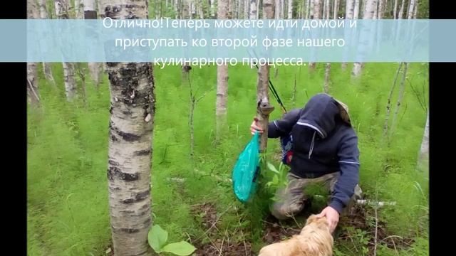 Простой такой рецепт) смотреть онлайн